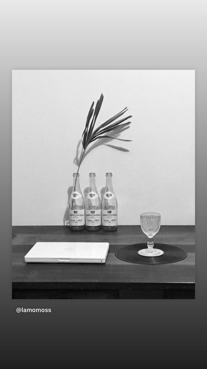 lamomoss's tweet photo. #miumiu #marcjacobs #mariotestino #purienne #harrystyles #lamomoss #gucci #coffee #cottonproject #starbucks #arch #decor #fornasetti 🍸 https://t.co/QmYToizqGy