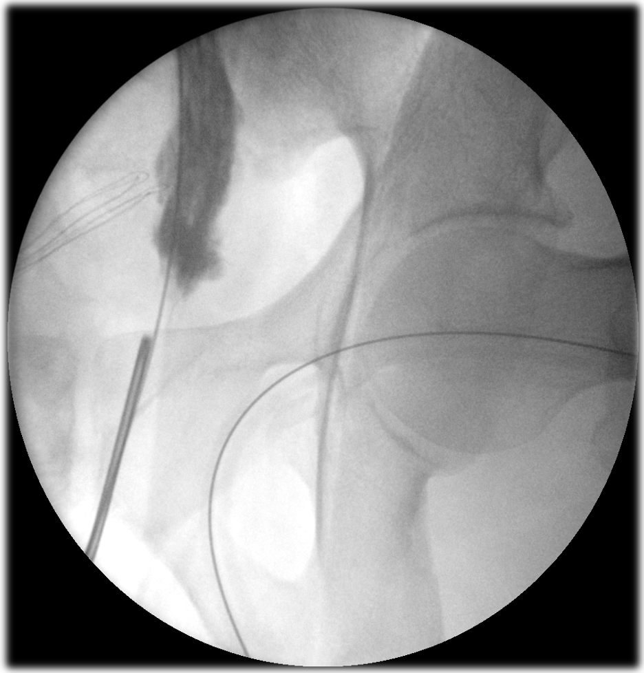 Saeed Bin Hamri tweet media