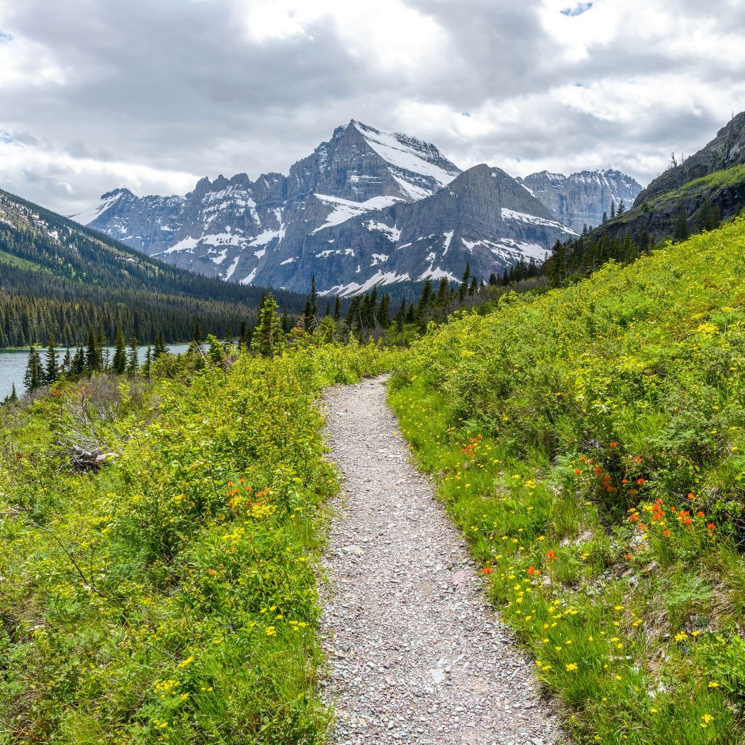 AmericanHiking's tweet photo. May this be the most challenging question you have to answer today: forest 🌲, desert 🏜️, mountains 🏔️, or beach 🏖️ hike? https://t.co/wIrsggAeMJ