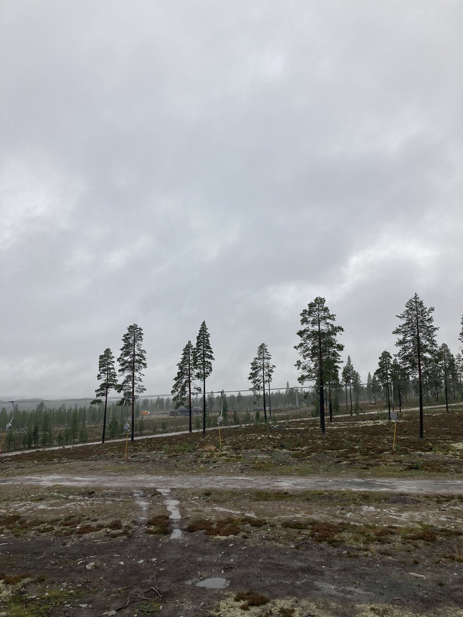 (Peter) Luca Versteegen (@versteegenluca) on Twitter photo 🚨 Please read + repost: 🚨
14 hours until the big run!
My team & I arrived in Idre Fjäll! The weather is AWFUL, the vibes are GREAT!
So far, we collected 1,100€ of donations for <a href="/ScholarsAtRisk/">Scholars At Risk</a> - thanks!!! 🙏🏽
Please continue to give & share:
gofund.me/ed070d60
🧵1/5 🚨 Please read + repost: 🚨
14 hours until the big run!
My team & I arrived in Idre Fjäll! The weather is AWFUL, the vibes are GREAT!
So far, we collected 1,100€ of donations for <a href="/ScholarsAtRisk/">Scholars At Risk</a> - thanks!!! 🙏🏽
Please continue to give & share:
gofund.me/ed070d60
🧵1/5