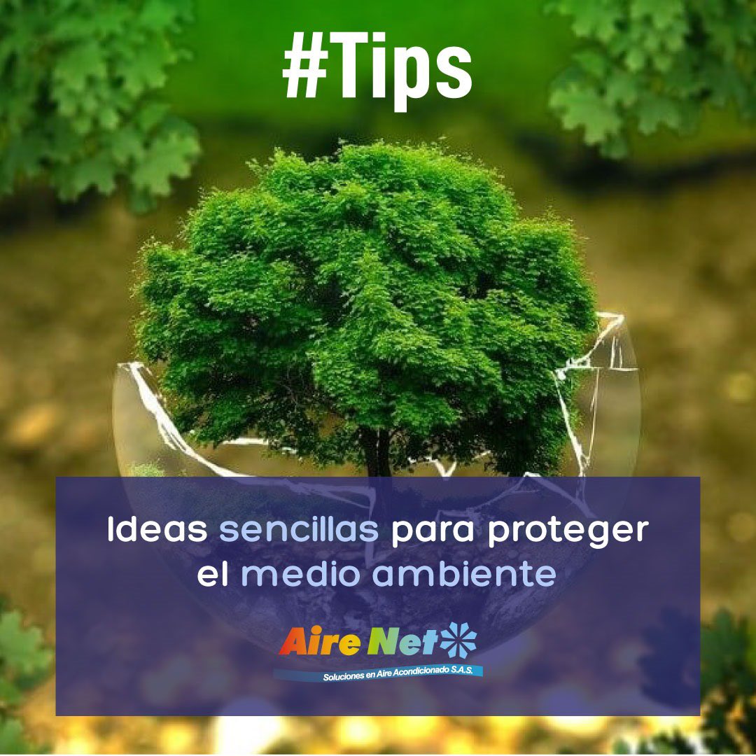 airenetsas's tweet photo. Si alguna vez te has preguntdo ¿Qué puedes hacer para aportar tu granito de airena al cuidado del medio ambiente?
Aquí te contamos 7 sencillos pasos a seguir para aportar al #compromisoambiental
https://t.co/tp8TN6cNFQ
#airenet #cuidadoambiental #tipsairenet https://t.co/pbqQr1HjVA