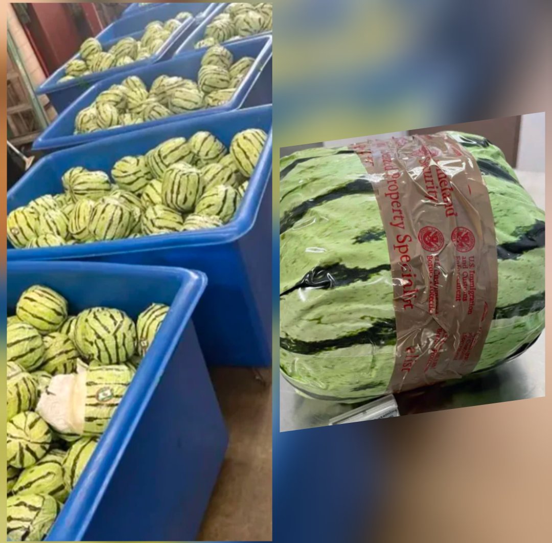 heatherfact's tweet photo. I saw this in the news yesterday and haven't stopped laughing about it. Someone made these to fill with meth. And tried to take them across the border. I'm serious. Google it. 🍉 https://t.co/h9U1yRCqwl