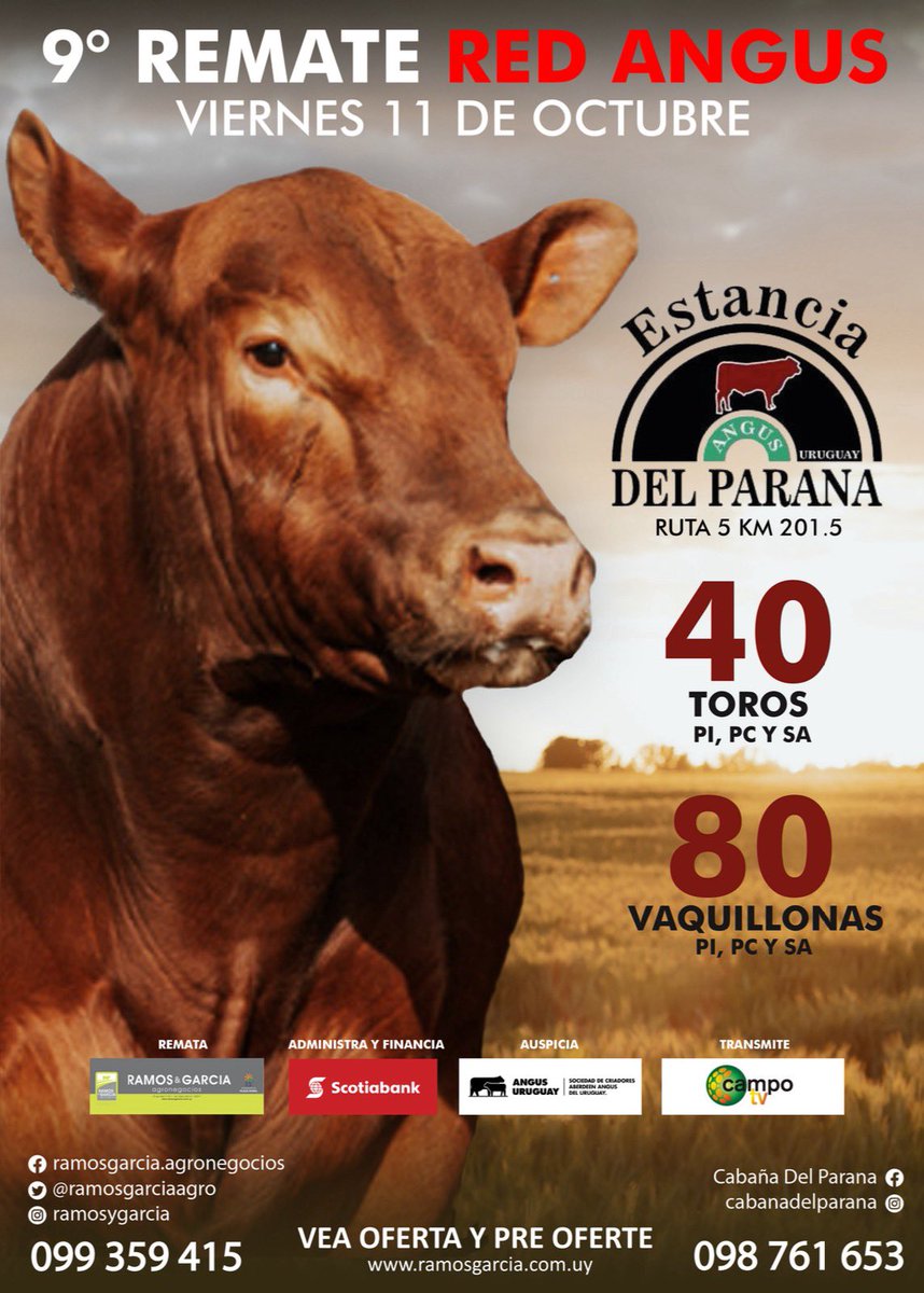 Cabaña Del Parana (@cabanaparana) on Twitter photo 