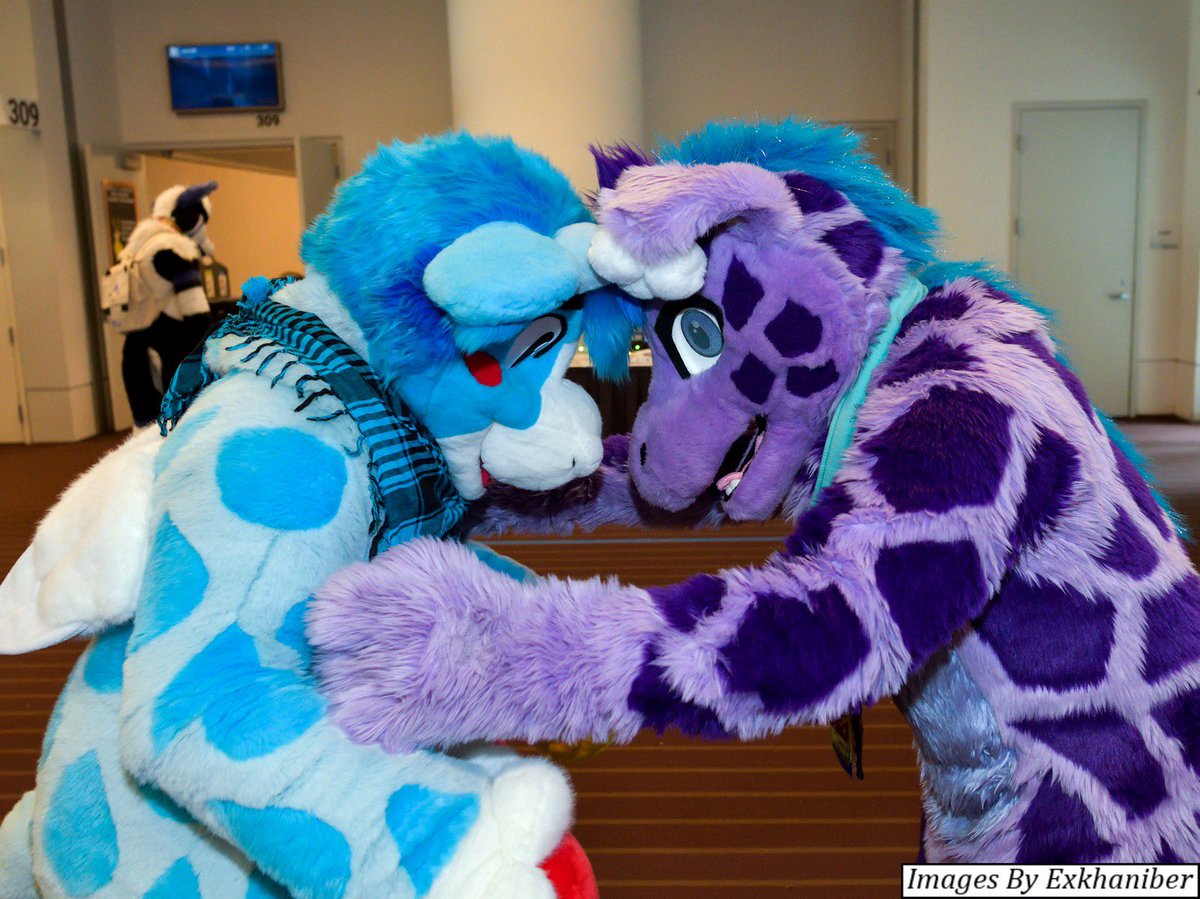 Me and @BlocksGiraffe talking about giraffe things. :) #FursuitFriday 
📷: <a href="/Exkhaniber/">Recon Roo 3/3 💉</a>