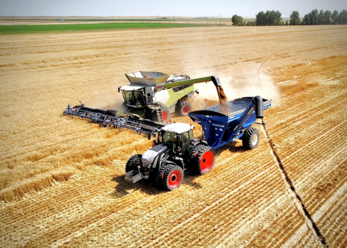 Will Müller tweet media