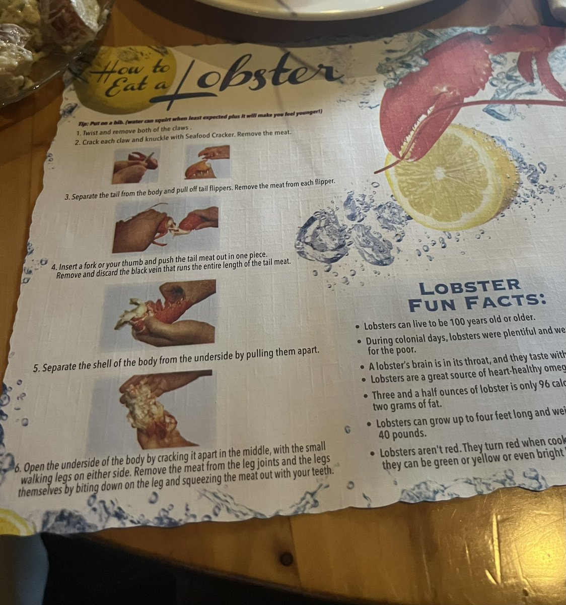 Beccaaa_57's tweet image. so much fun + such cool science at my first Addiction GRS/GRC !!🦞🧠🥹