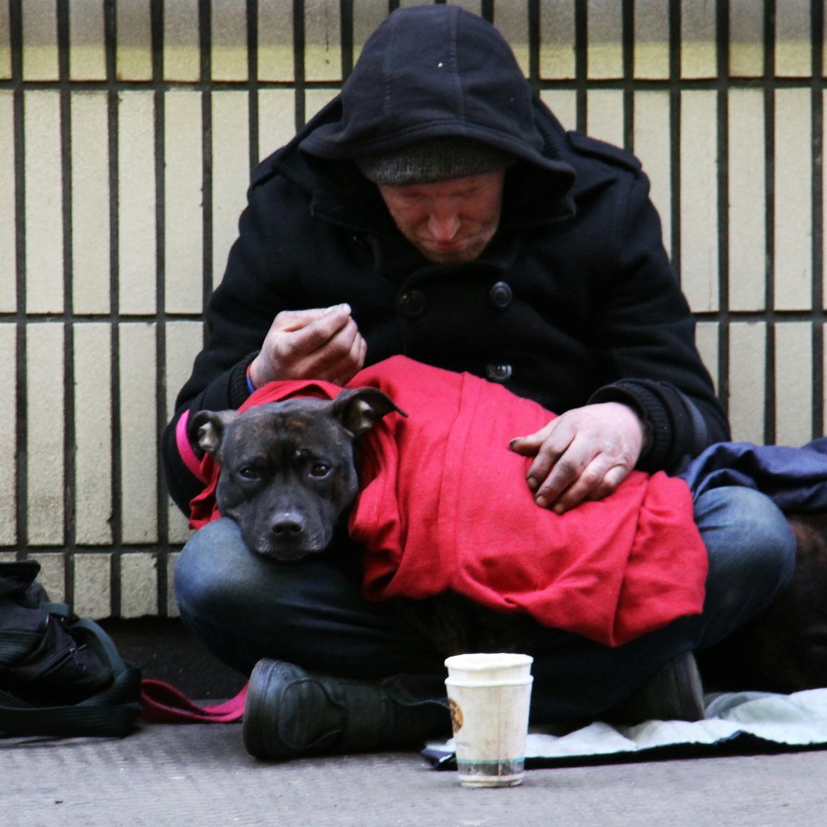 Life Elsewhere Radio (@normanbradio) on Twitter photo Who deserves the love of a pet? <a href="/CarolMithers/">Carol Mithers</a> explains in Rethinking Rescue: Dog Lady & the Story of America's Forgotten people & Pets <a href="/CounterpointLLC/">Counterpoint Press</a>
Listen Sunday 25 at 10am ET wnrm.com
12pm ET The Source HD3 wmnf.org/listen/hd-3/
Info wp.me/p38QA8-47v Who deserves the love of a pet? <a href="/CarolMithers/">Carol Mithers</a> explains in Rethinking Rescue: Dog Lady & the Story of America's Forgotten people & Pets <a href="/CounterpointLLC/">Counterpoint Press</a>
Listen Sunday 25 at 10am ET wnrm.com
12pm ET The Source HD3 wmnf.org/listen/hd-3/
Info wp.me/p38QA8-47v