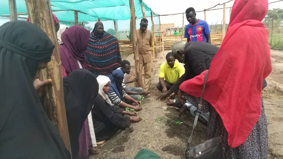 rls_ug's tweet photo. 🌱 We’re excited to announce that we’ve successfully completed the "Setting Up a Kitchen Garden for Beginners" training program! Hosted by RLS &amp; TPDO, this program helped participants take their first steps toward creating their own sustainable kitchen gardens. https://t.co/IyxbnKWIXp