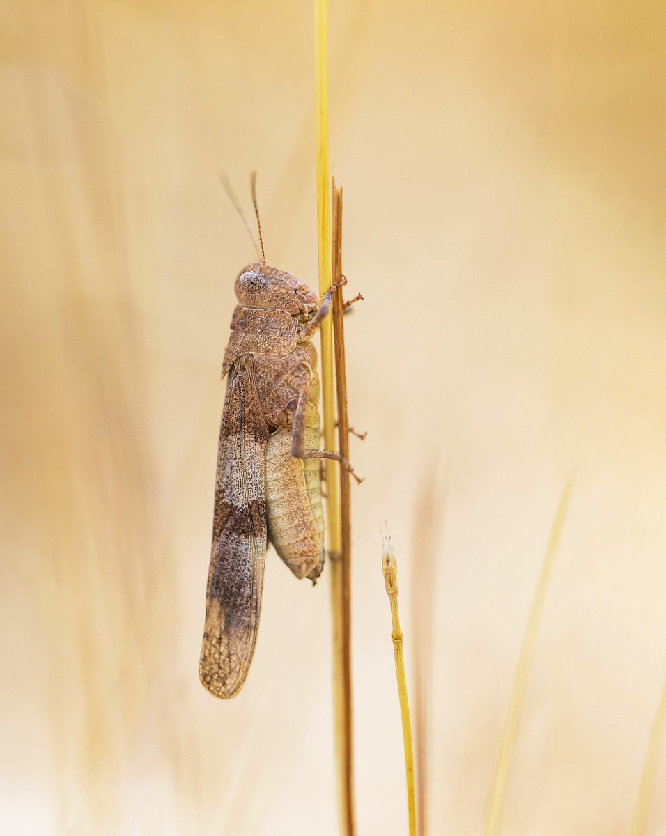 Alex Perry tweet media