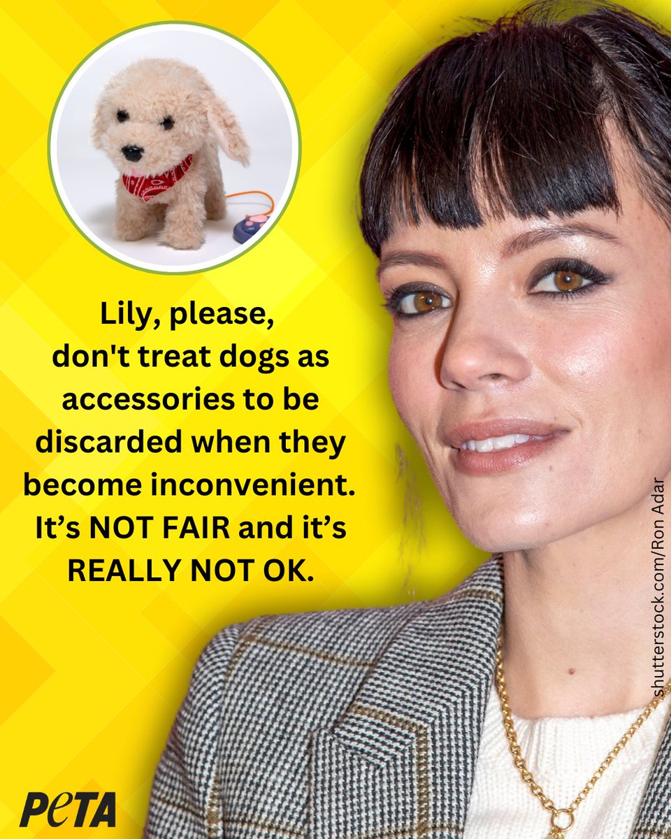 After <a href="/lilyallen/">Lily Allen</a> revealed she returned her adopted dog to the shelter for chewing the families’ passports, PETA is begging the singer not to get another puppy.💔

We’re sending Lily a mechanical toy dog, which requires none of the round-the-clock care a real-life puppy does.