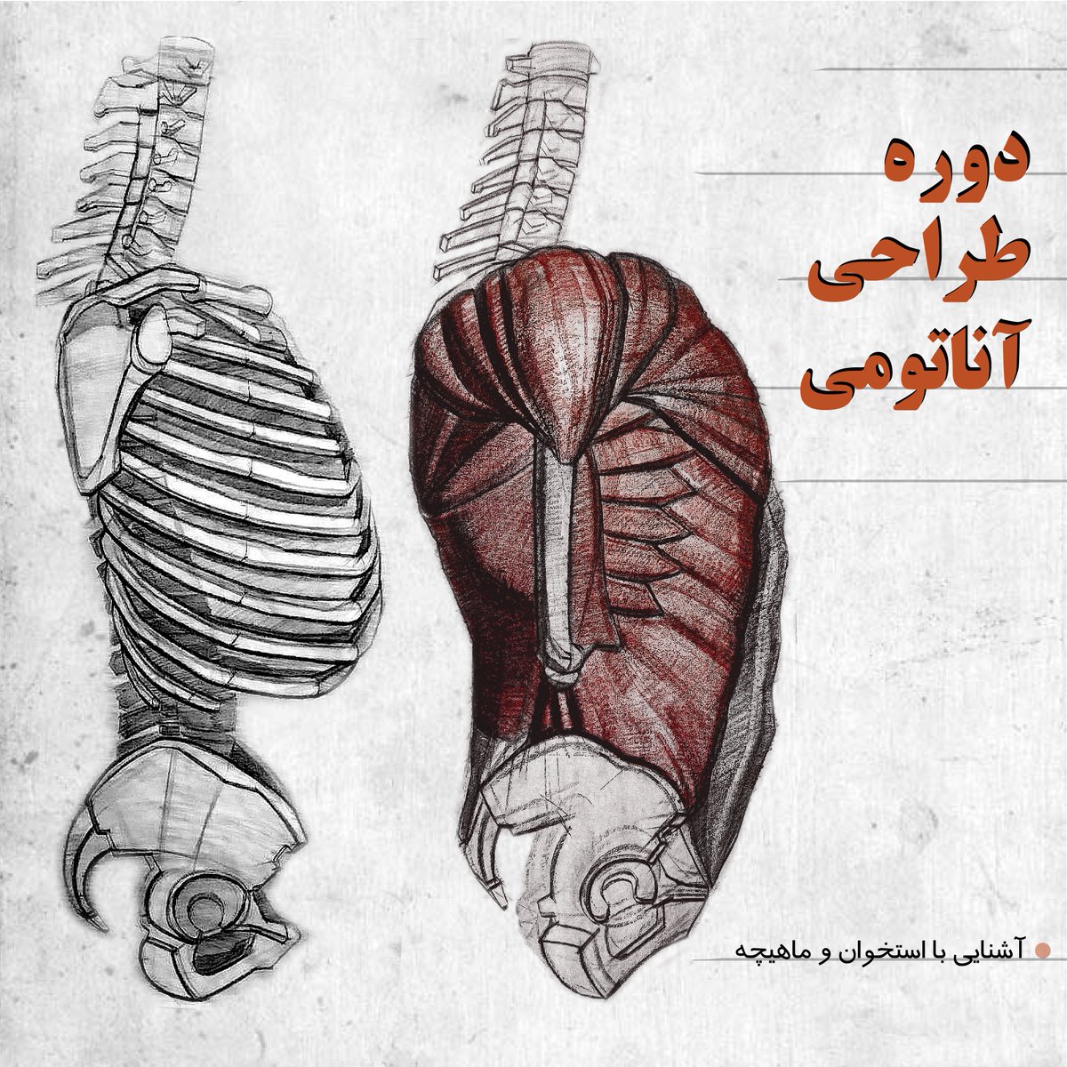 Mojtaba Jafari tweet media