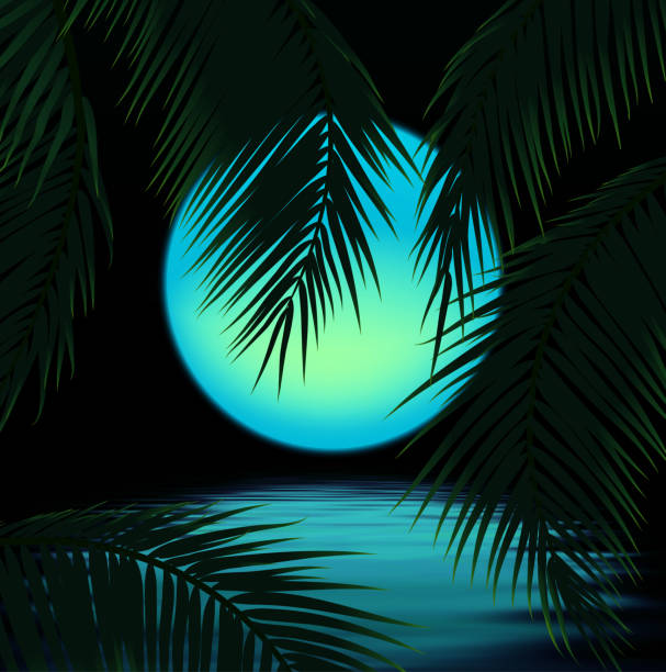Magnilion's tweet photo. Hi! I’m @Magnilion, a vector designer and art director with nearly 15 years of experience and 7,000 works. Check out my portfolio here: https://t.co/XxnERhPcUb. I’d love to connect, so feel free to reach out!
#Vector #CreativeCommunity #DesignInspiration #Creator #Magnilion https://t.co/ya4MlEYypZ