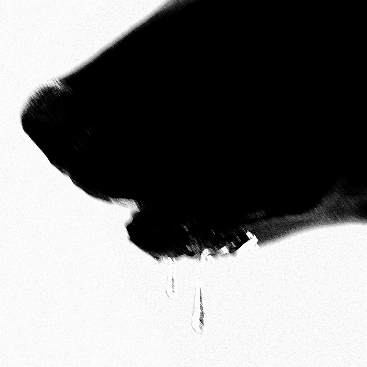 ARD STUDIO tweet media