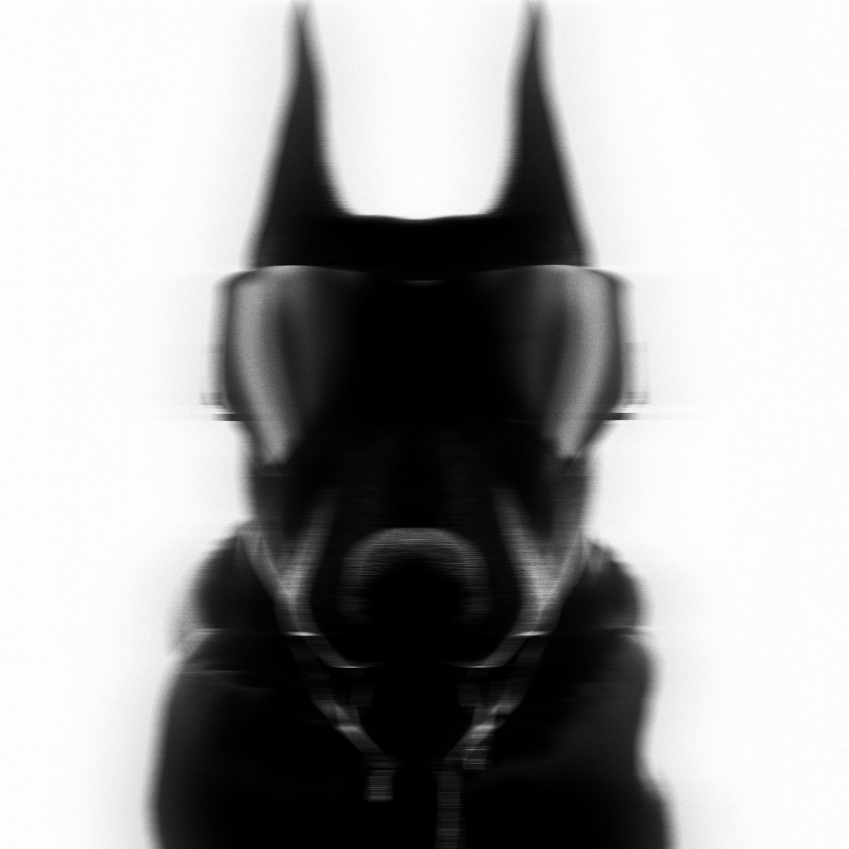 ARD STUDIO tweet media