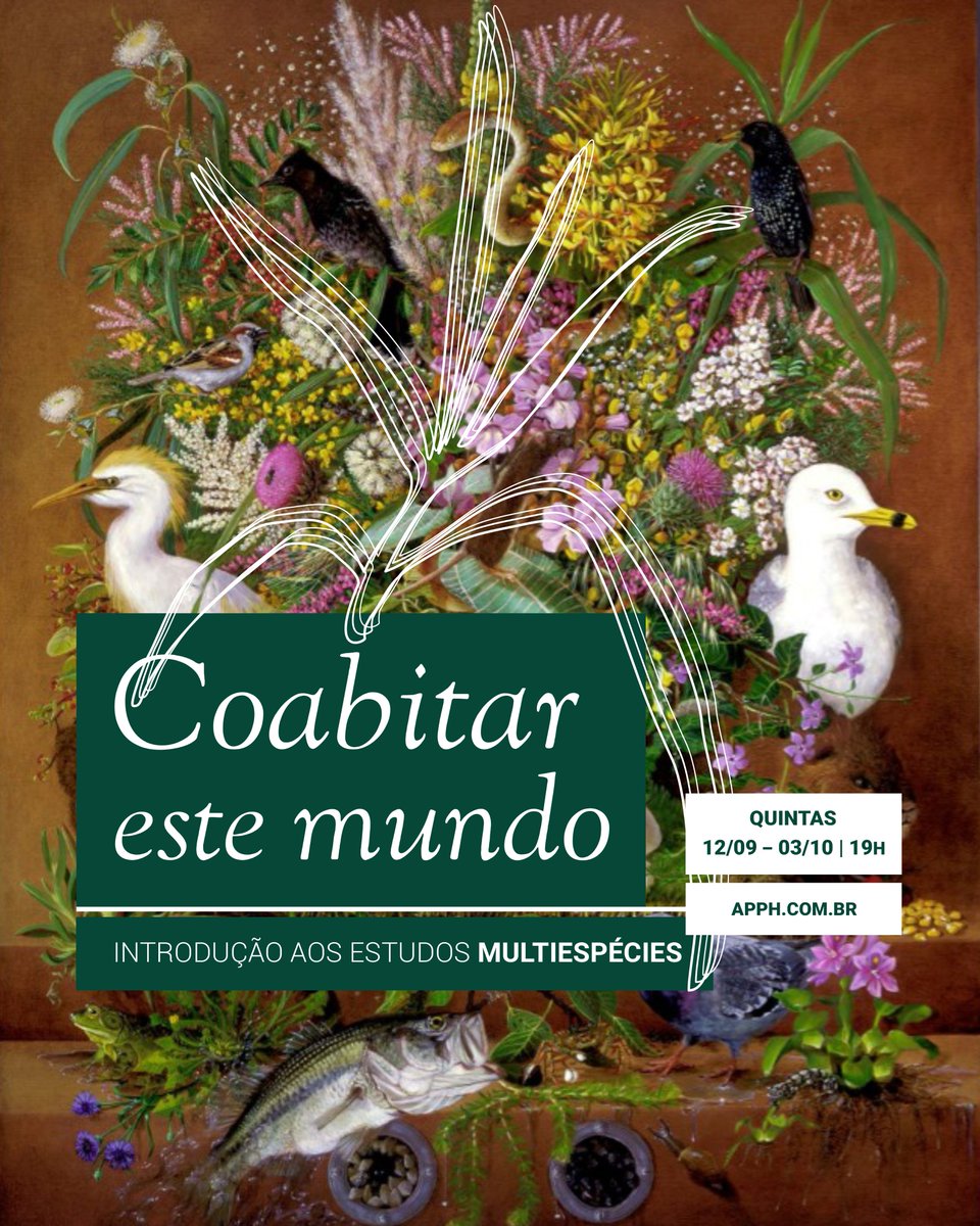 apphumanidades's tweet photo. Estão ABERTAS AS INSCRIÇÕES para o curso "Coabitar este mundo: Introdução aos Estudos Multiespécies" com Fernando Silva e Silva @SilvaeSilvaF e Luísa Muccillo @jigsawfsdg, início em setembro! + https://t.co/HTVQAQuinr