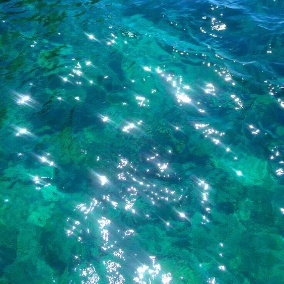 Tyson 🐟 tweet media