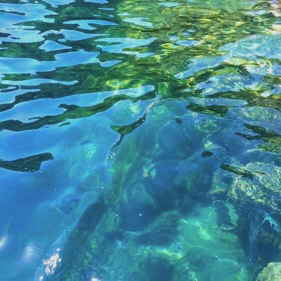 Tyson 🐟 tweet media