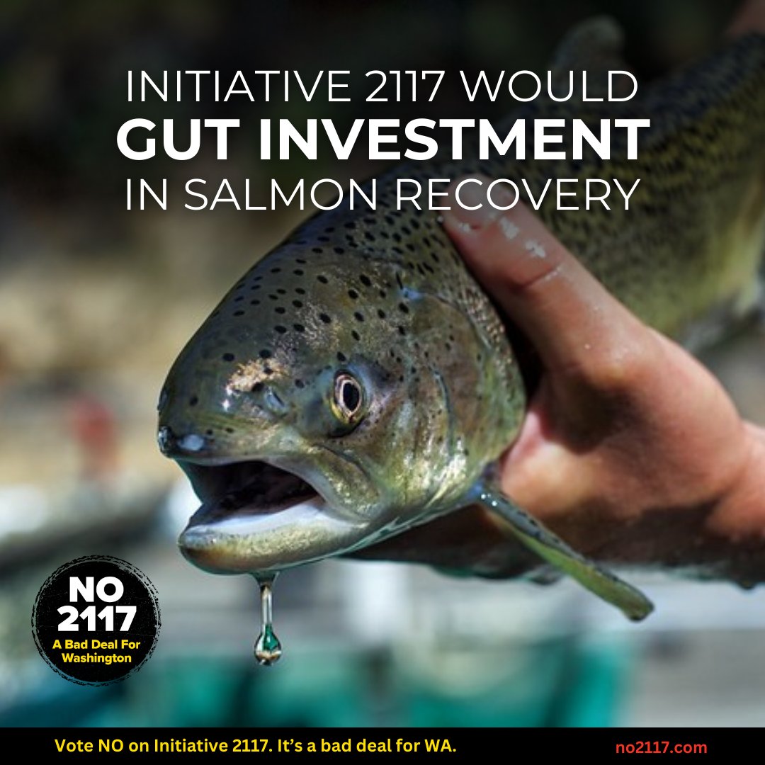 Debra Lekanoff tweet media