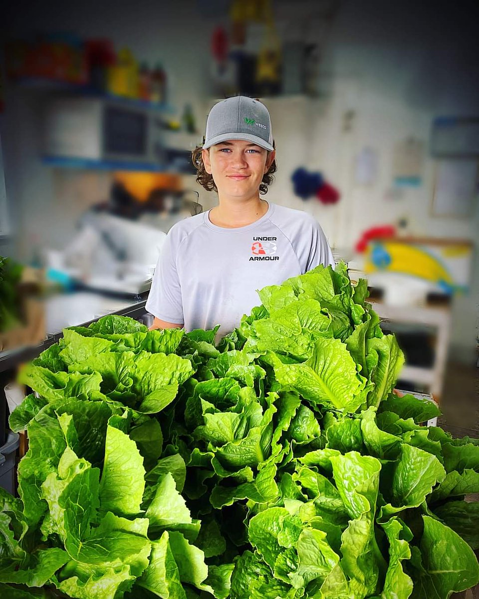 Meet Cole Williams from The Goulds! 

He’s the young man behind that beautiful lettuce that we had yesterday, and he just dropped us off another load for the weekend!!! 🥬
