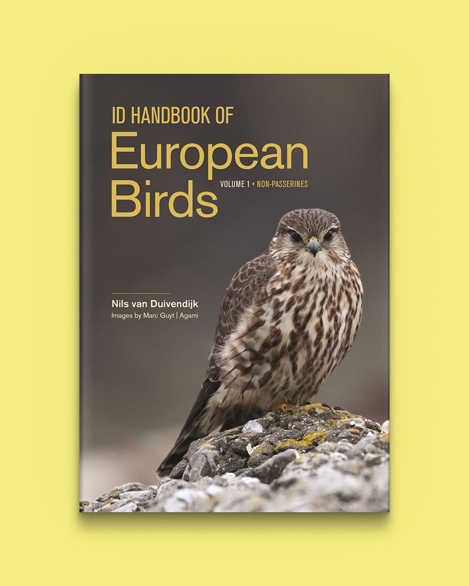 Princeton Nature (@princetonnature) on Twitter photo We are delighted to see the ID Handbook of European Birds reviewed in the Sunday Express as “birding’s eureka moment”! This exciting new title is available now in the UK and will publish in October in the US: hubs.ly/Q02MmV7f0
<a href="/Birderman/">Stuart Winter</a> We are delighted to see the ID Handbook of European Birds reviewed in the Sunday Express as “birding’s eureka moment”! This exciting new title is available now in the UK and will publish in October in the US: hubs.ly/Q02MmV7f0
<a href="/Birderman/">Stuart Winter</a>