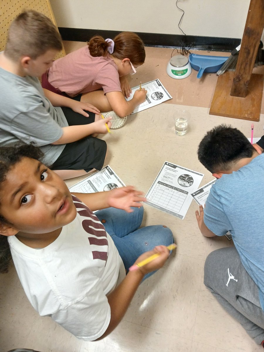 Amy Seitz tweet media