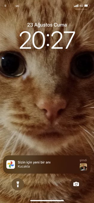 google durup durup aynı fotiyle yalnızlığımı y&uuml;z&uuml;me vuruyor he https://t.co/ZRSlpNtTUb<a href="/tag/yeniprofilresmi"class="tags"><span>#yeniprofilresmi</span></a>