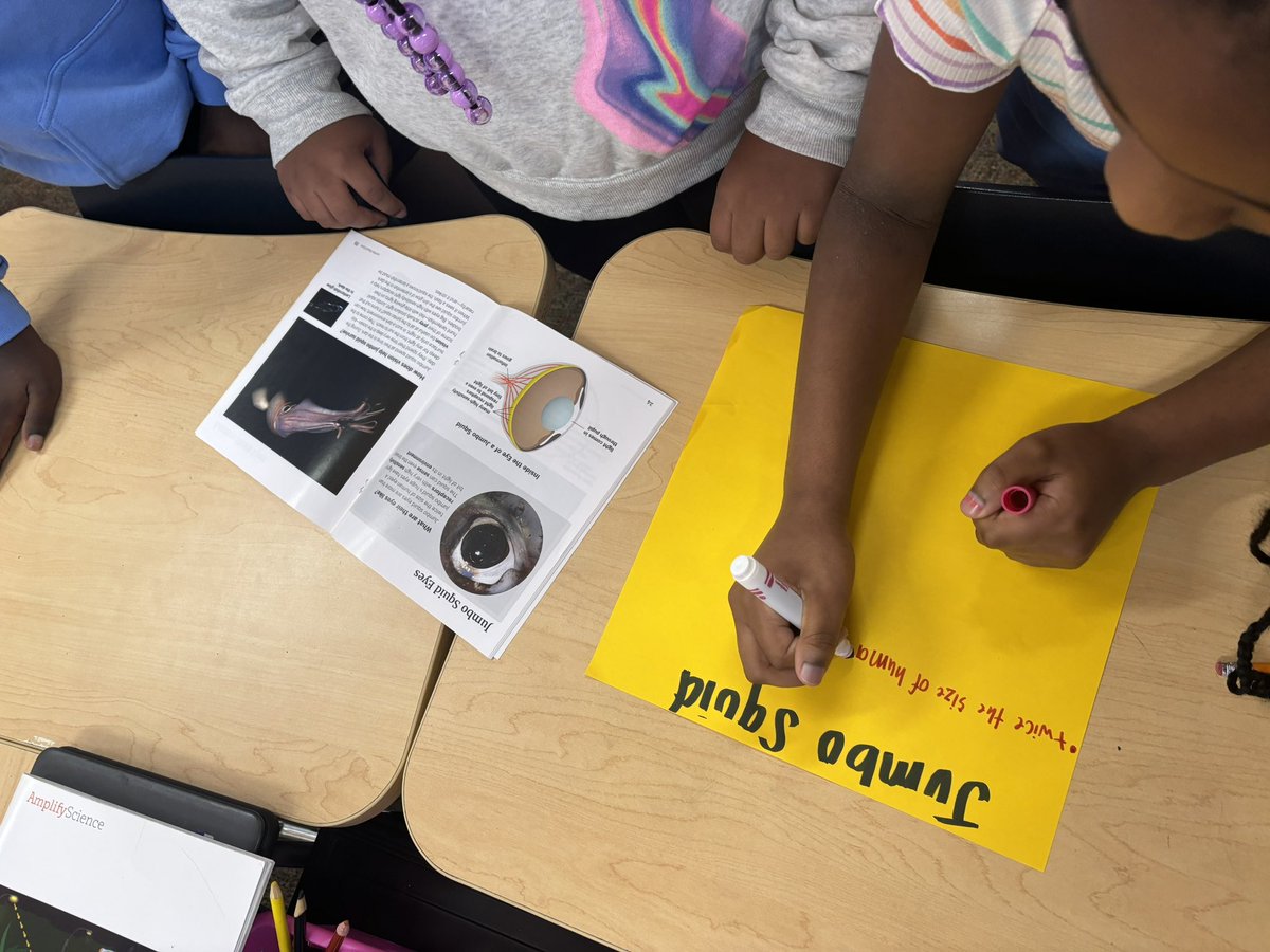 The Academy for Civic Engagement tweet media