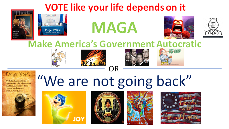 lnsmith613's tweet photo. Vote like your life depends on it https://t.co/Vj9V4PfTG2