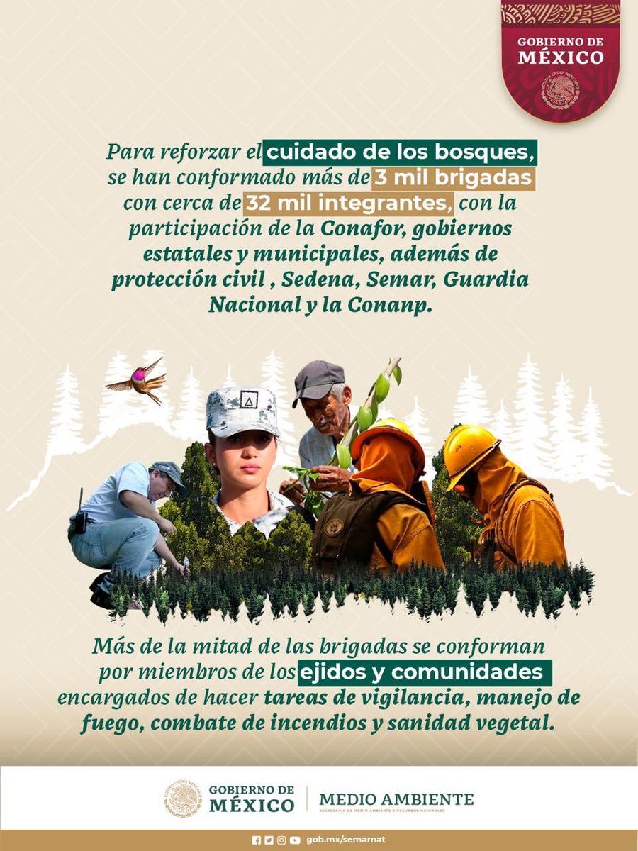 SEMARNAT_mx's tweet photo. #LogrosAmbientales | ¡Gran logro en el cuidado de los bosques de México! 🇲🇽🌲

Protegemos los bosques junto a @CONAFOR y otras instituciones y comunidades locales. https://t.co/AtURsXCEfJ