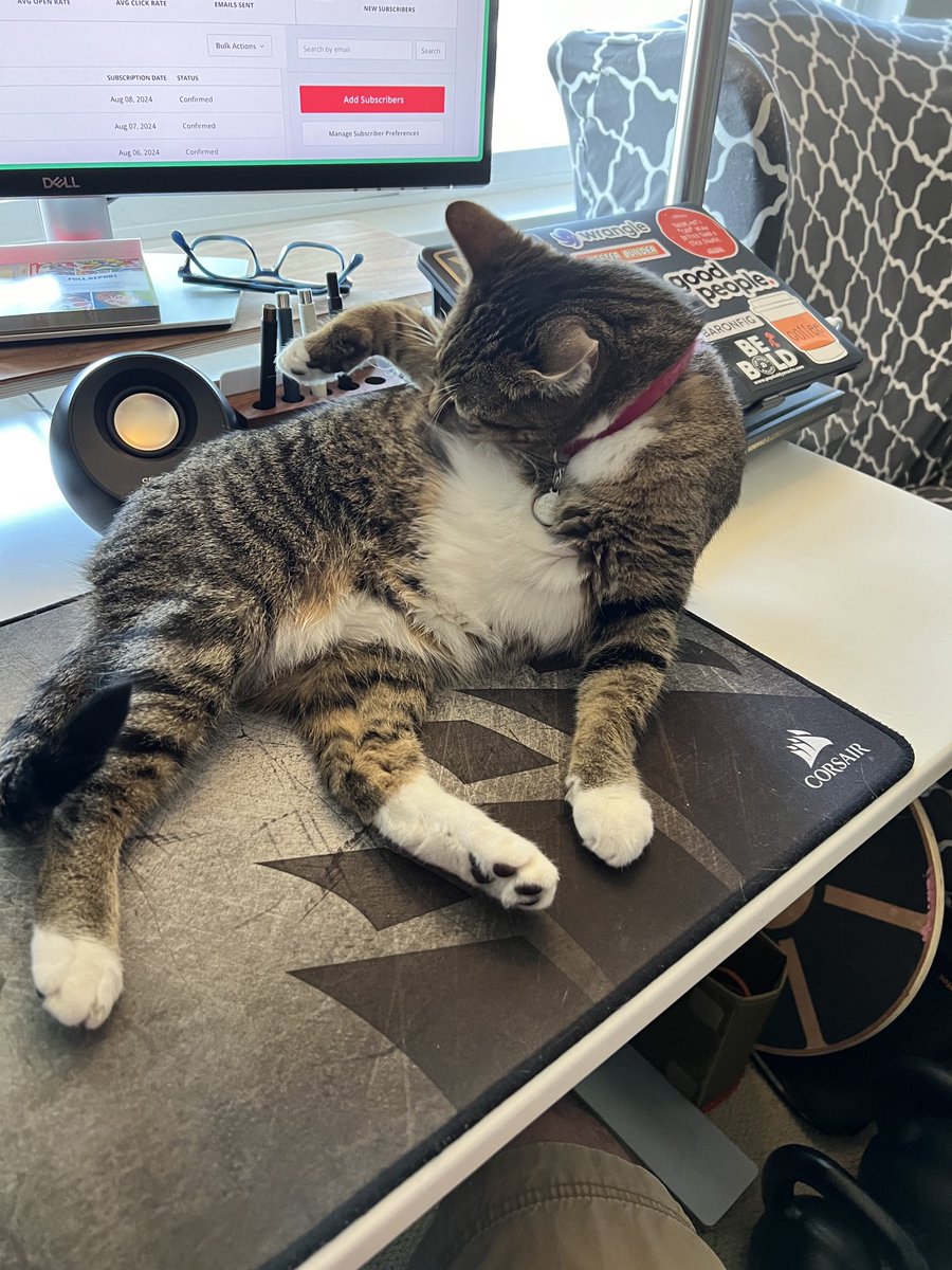 KCProcter's tweet image. It’s fine if the cat 🐈⬛ shows up on Zoom calls 🎥, but I draw the line at bathing on my desk. 🛁 #RemoteWorkProblems