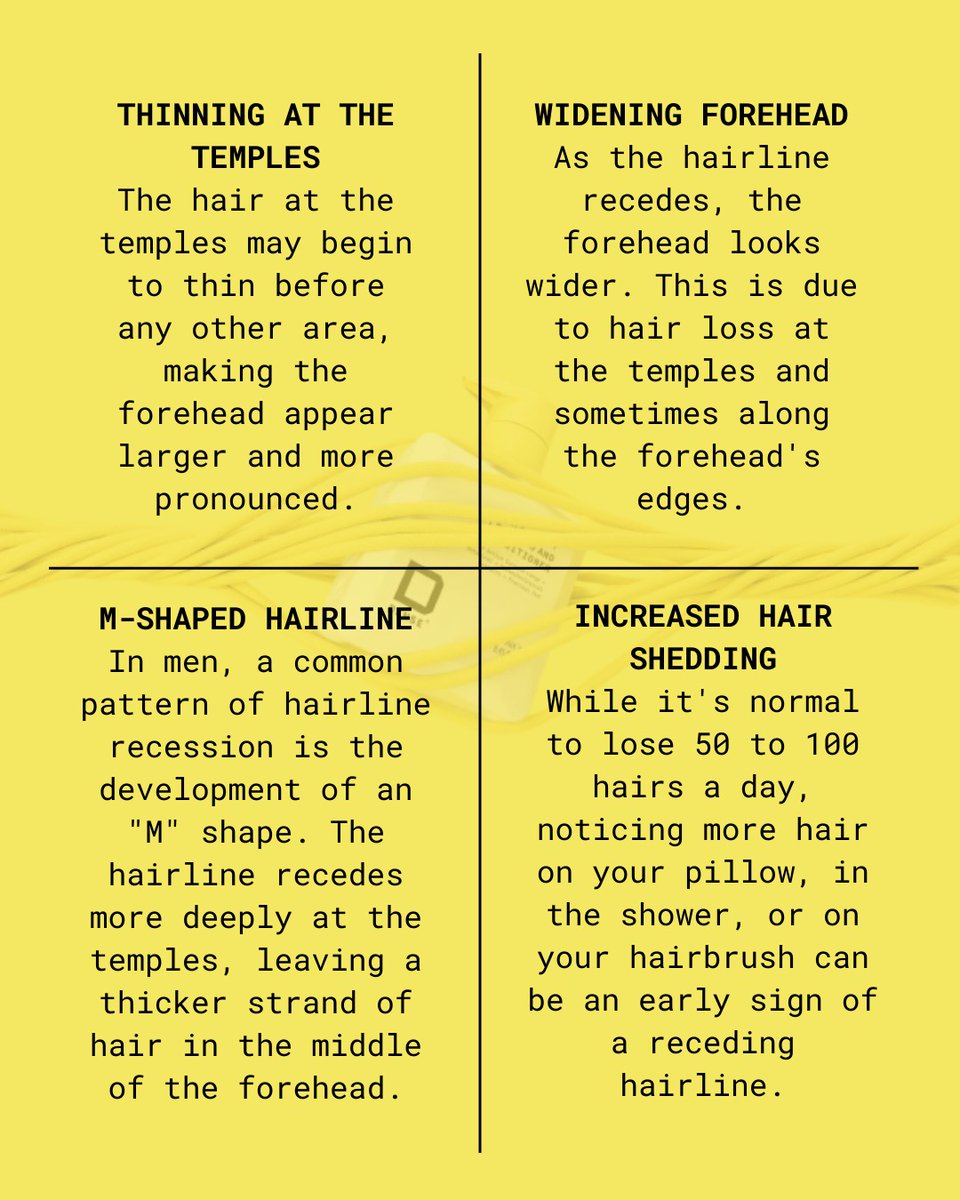 Dense Hair Experts tweet media