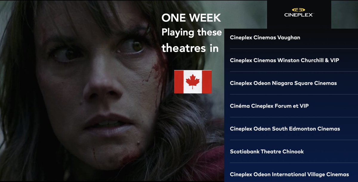 Adam MacDonald (@_adammacdonald) on Twitter photo 