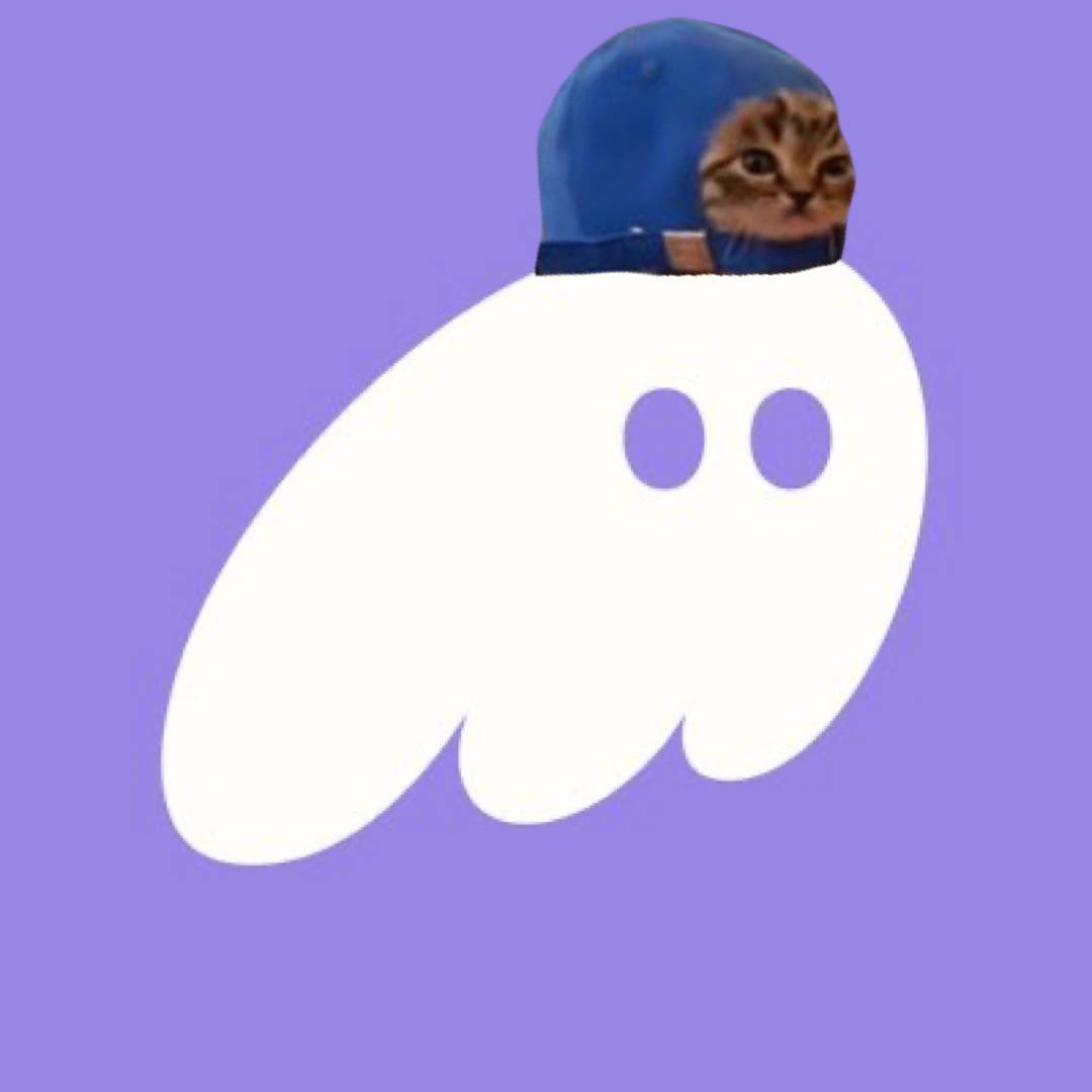 CatCapCTO's tweet photo. @phantom @solana We building a game on $cap reply this so we can speed it up. https://t.co/DOLjxUsqum