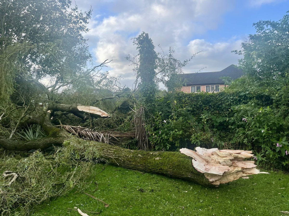 ArchieDog4's tweet photo. Mum opened her bedroom curtains this morning & said “Houston, we have a bit of a problemo!” 🥴🫣🤢
#stormlillian #mypoorgarden #treesdown https://t.co/k9qB28qf72