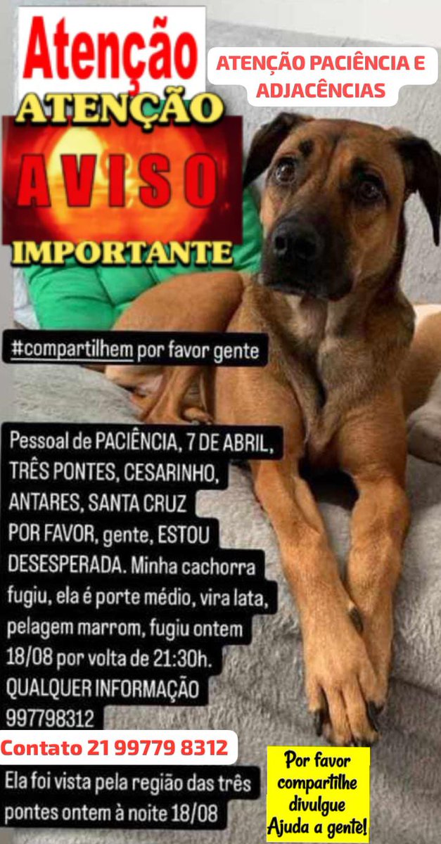 soldedezz's tweet photo. #BalançoGeralRJ https://t.co/ROdojlJWSg