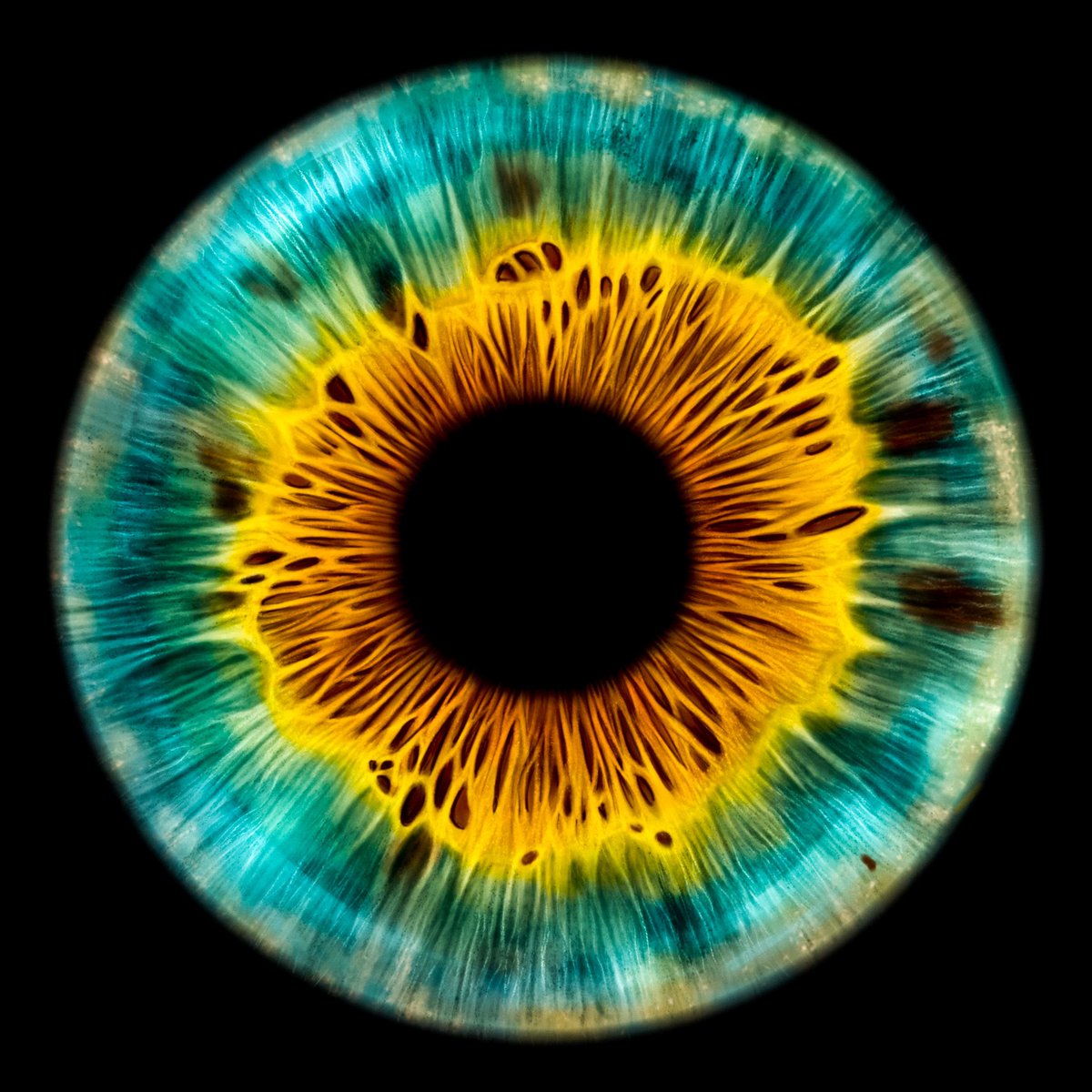 We each see a unique world 👁️