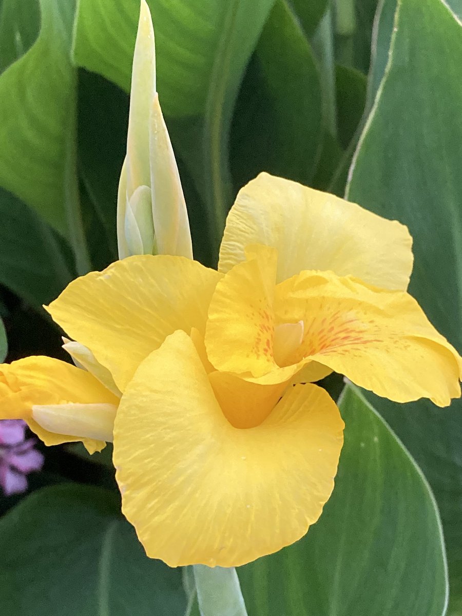 MimiMichelle9's tweet image. #Marc #Inconsolable 💔🙏💔🙏💔🙏💔🙏💔🙏💔🙏💔🙏💔🙏💔🙏💔🙏💔💔💔💔💔💔💔💔💔💔💔💔💔💔💔💔💔💔💔💔💔💔💔💔 💔💔💔💔💔