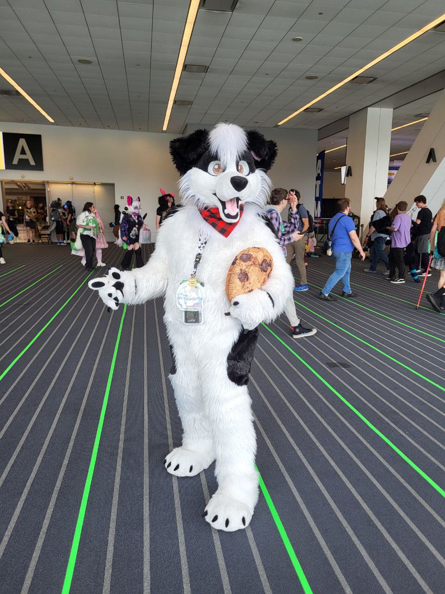 Anthrocon 2024 was a major blast from the Street/block party to the parade. Thanks <a href="/SmallCollie/">Jethro Collie</a> and <a href="/ErsisTheCat/">Ersis</a> for all these great shots! It's good to think back on great cons, and look forward to ones too!