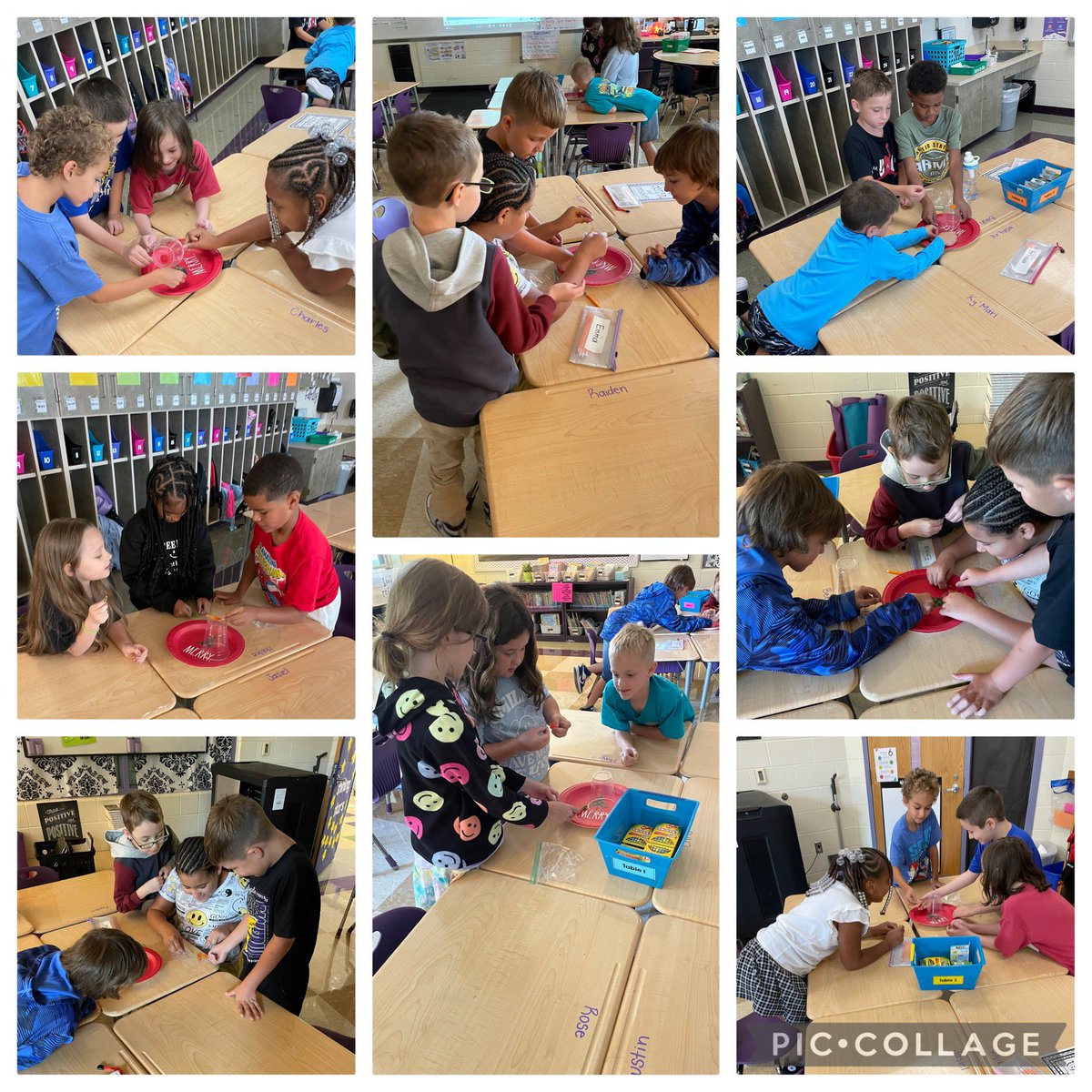 MrsPartlow3's tweet photo. Super successful first week of 3rd grade! We’ve worked on routines &amp; procedures, learned what it means to be a leader, started curriculum, saved Fred, &amp; worked on teamwork! We got to use our VNPS to solve some #BTC tasks and they CRUSHED it 🥳 💜 
#MiddieRising @Wildwood_Tweets https://t.co/uRB9bMh9rw