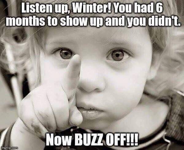 ricklevy67's tweet photo. @L_DeWeaver @JoJomills13 @RBJRON @blakandblack @slsandpet @RussHogarth @jmil400 @CousinsKevin100 @chromecastings @ellisoconnor @lynlinking @Donatello_Oz @GGeoffwitha @AvisM @BeeAsMarine @randlight @Lochness4000 @GoldCoastNurse @xskinn @djshaneday Morning Lynne and Everyone. Evening Nagina. Thunderstorms , heavy rain and damaging winds #GetLostWinter https://t.co/h8ShWtRQRu