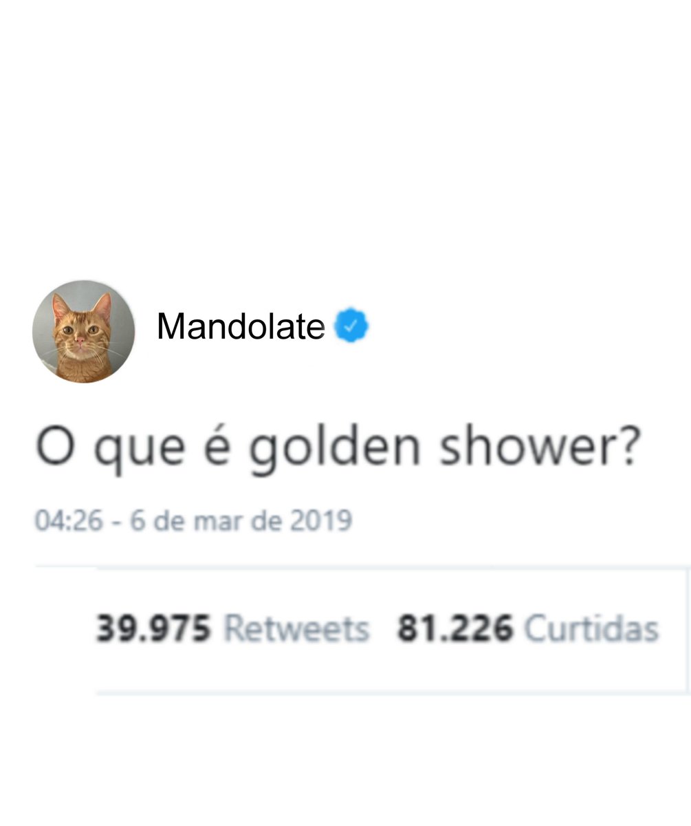 chicorinha_'s tweet image. Tem umas coisa que só gato laranja