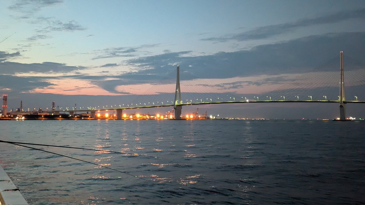 ふれーゆ裏釣果
8/12 24時～3時

アジ×9匹
サッパ×多数