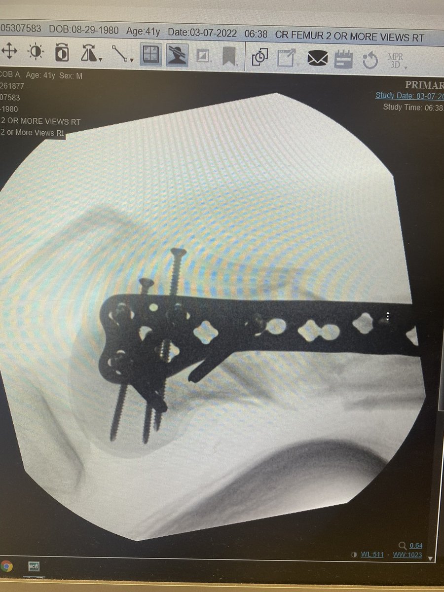 Jessica Borges Scott tweet media