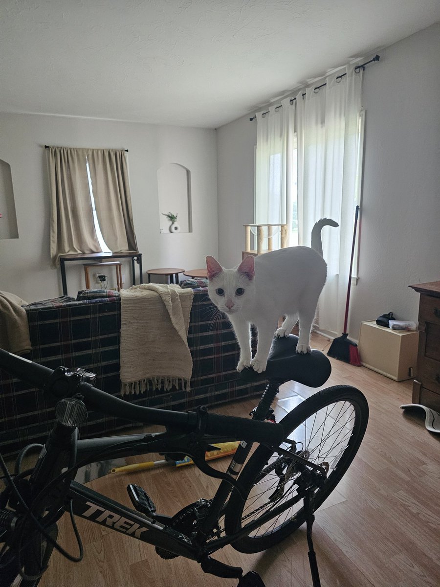 Joke How (@jokehow) on Twitter photo 