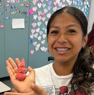 BCHSFCS1's tweet photo. FCS in Action! 4 Cs - Communication, Collaboration, Critical Thinking, and Creativity activities from the first weeks of school. Skill Building Fun! #bchsed #bchspride #muhsd https://t.co/ARYzKAZxH5