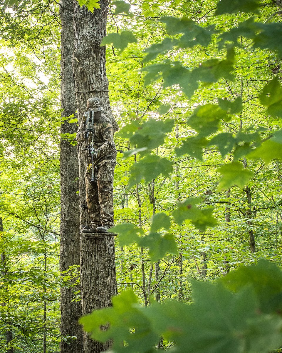 Realtree tweet media