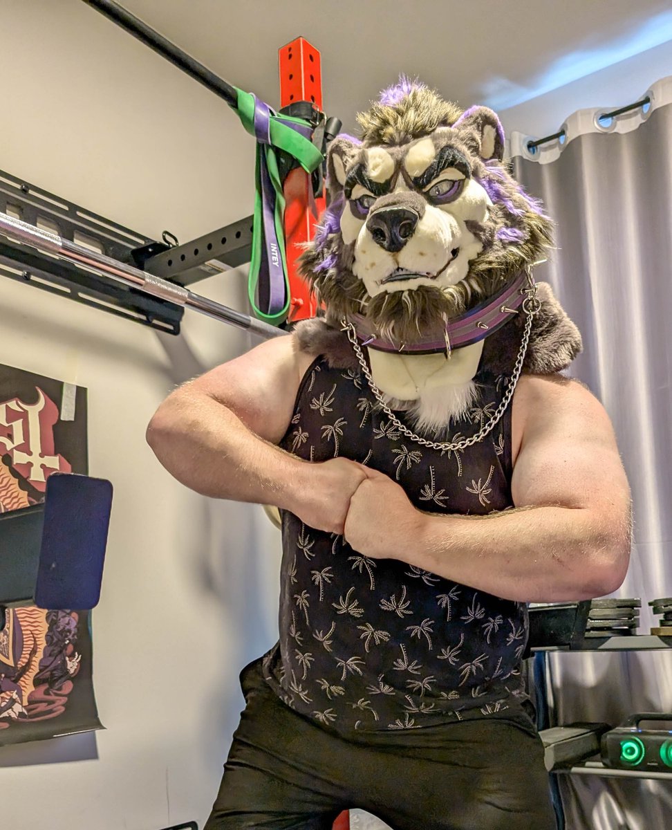 Bear_Townsend's tweet photo. Happy shoulder day gamers https://t.co/Yk6qJvPBqS