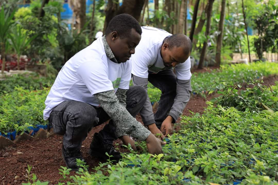 biru_wolde's tweet photo. Proud to Contribute to the Green Legacy! 
Today, my team &amp; I took part in planting seedlings as part of PM Abiy Ahmed's Green Legacy initiative. Proud to contribute to this nationwide effort to restore Ethiopia's environment and ensure a greener future for generations to come. https://t.co/biuGCNzzMI