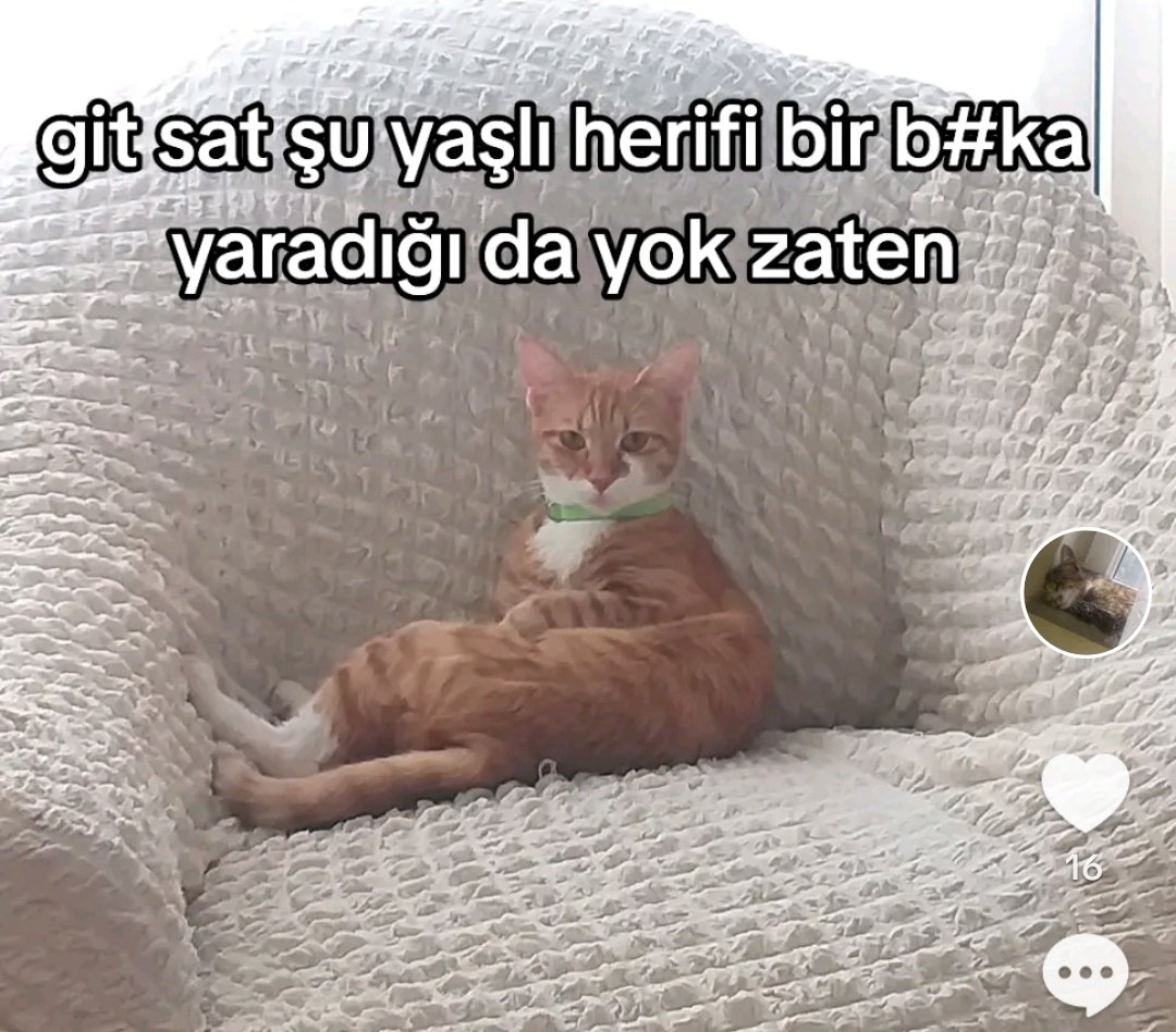 Çok iyi bu akım şdöwjpskwl