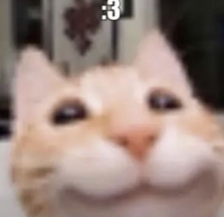 EclipseCUBE tweet media